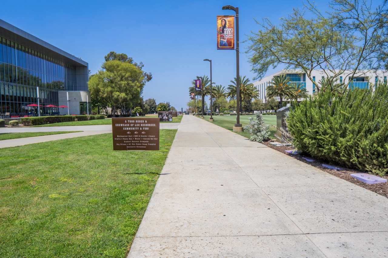 Lawn Signs: LSU North Lawn